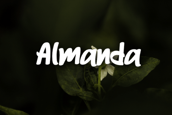 Almanda: Elevate Your Brand with Elegant Typography